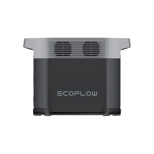 EcoFlow DELTA 2 Portable Power Station + 110W Portable Solar Panel x 2